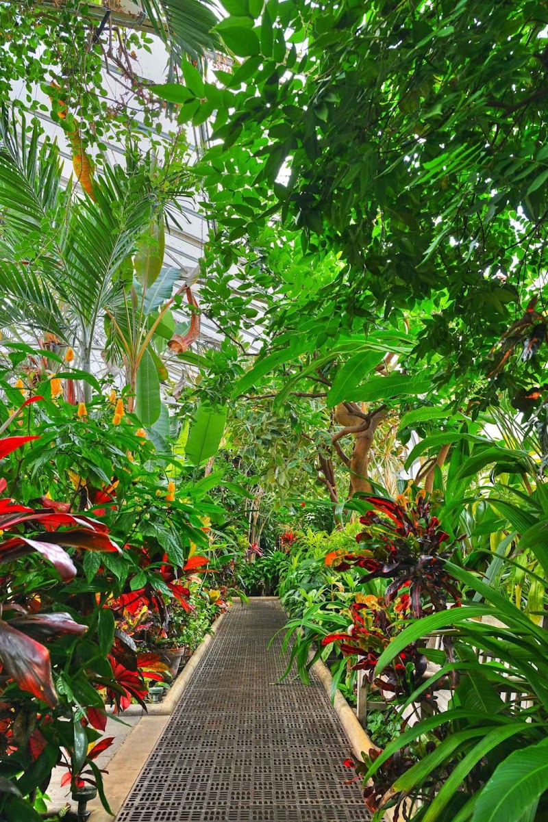 Main Greenhouse / Hibiscus House, Planting Fields Arboretum photo 3