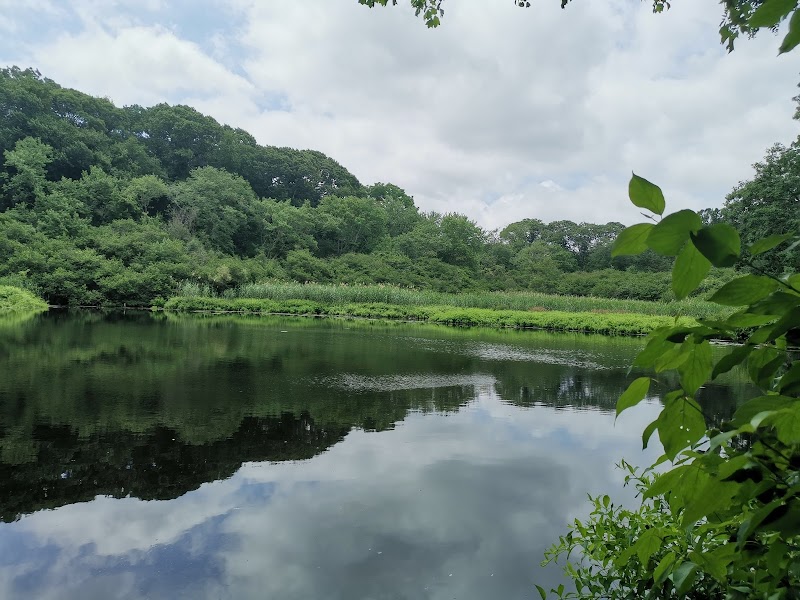 Makamah Nature Preserve photo 1