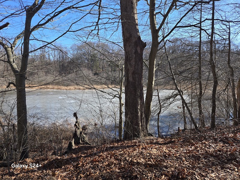 Makamah Nature Preserve photo 3