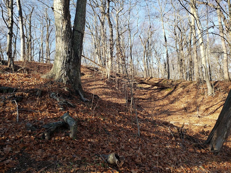 Makamah Nature Preserve photo 4