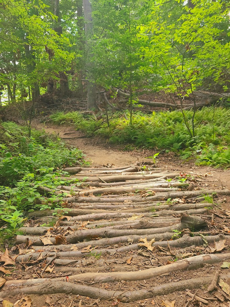 Makamah Nature Preserve photo 5
