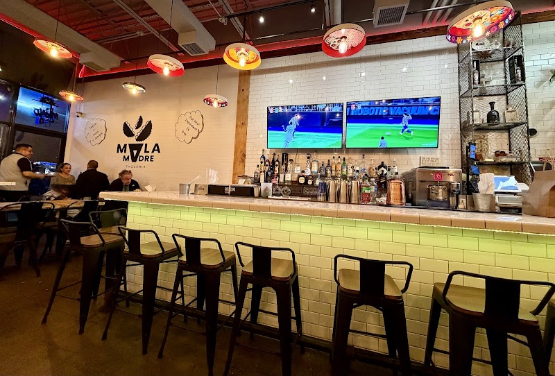 Mala Madre Taqueria photo 2