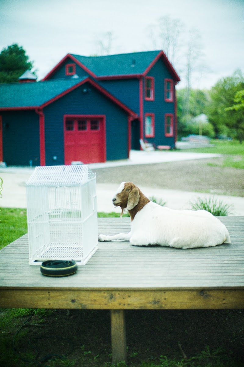 Mama Farm - B&B and Wedding Venue photo 4