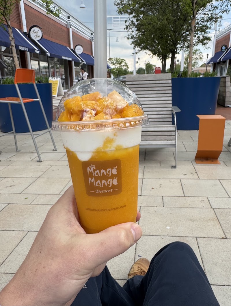 Mango Mango Dessert photo 4