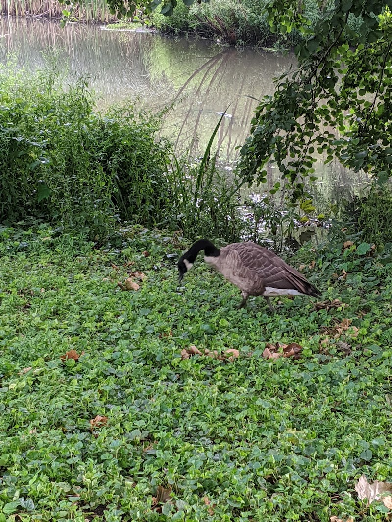 Manhasset Valley Park photo 3