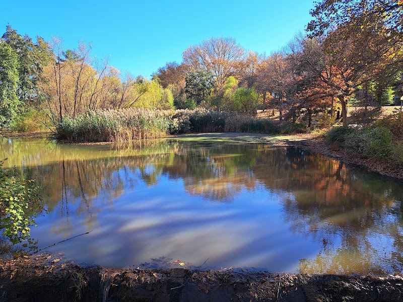Manhasset Valley Park photo 4