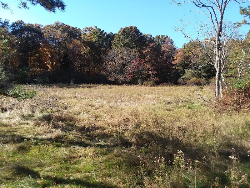 Manorville Hills County Park photo 2