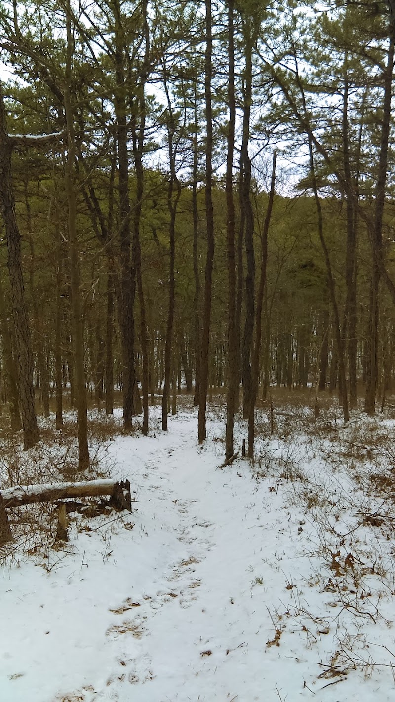 Manorville Hills County Park photo 3