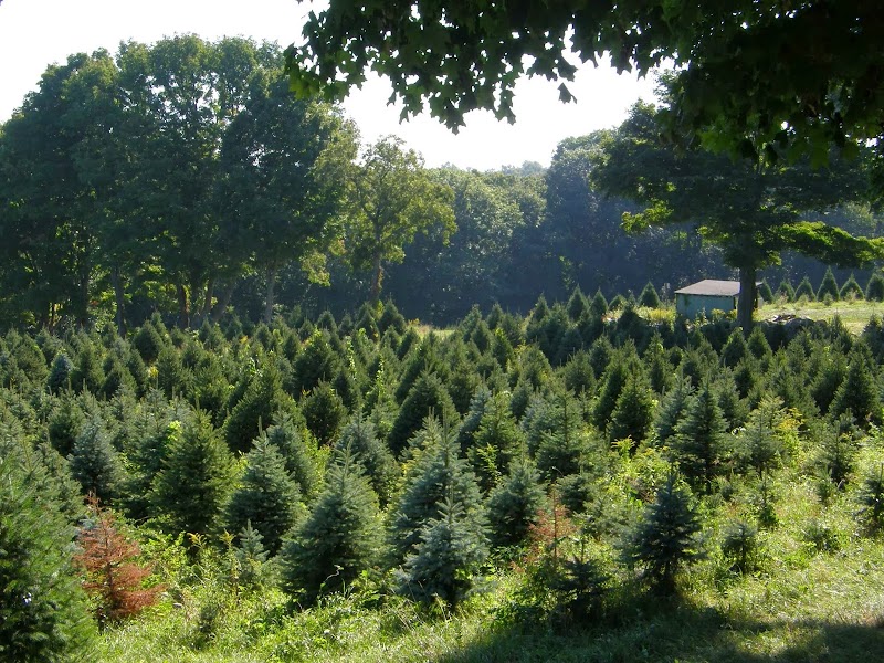 Maple Row Farm photo 2