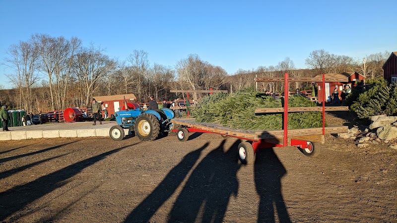 Maple Row Farm photo 3