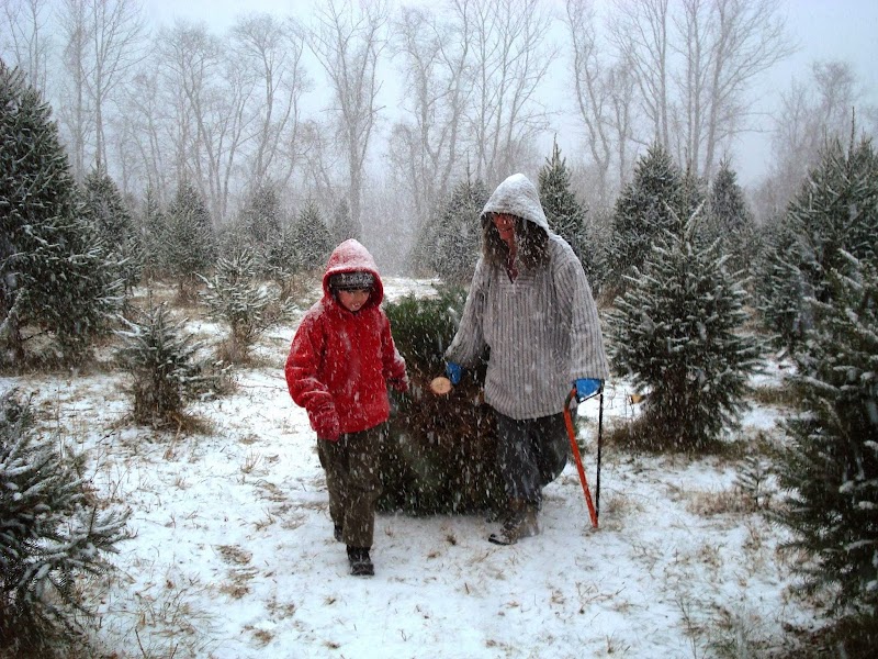 Maple Row Farm photo 4