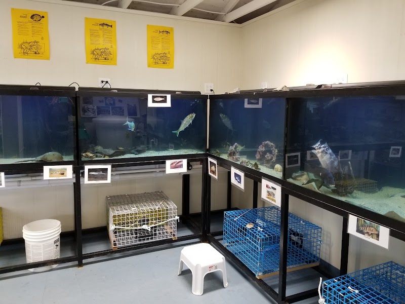 Marine Education Center photo 3