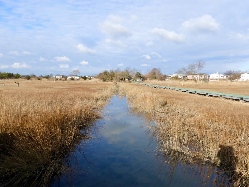 Marine Nature Study Area photo 2