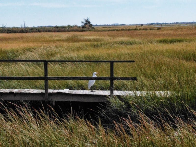 Marine Nature Study Area photo 3