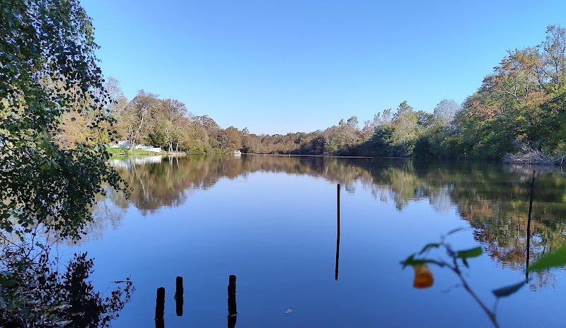 Marjorie R. Post Community Park photo 4