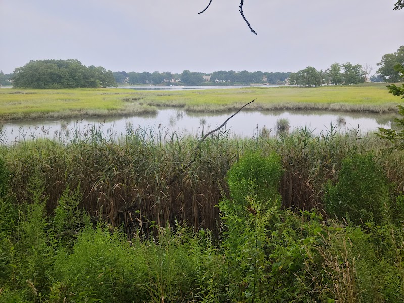 Marshlands Conservancy photo 3