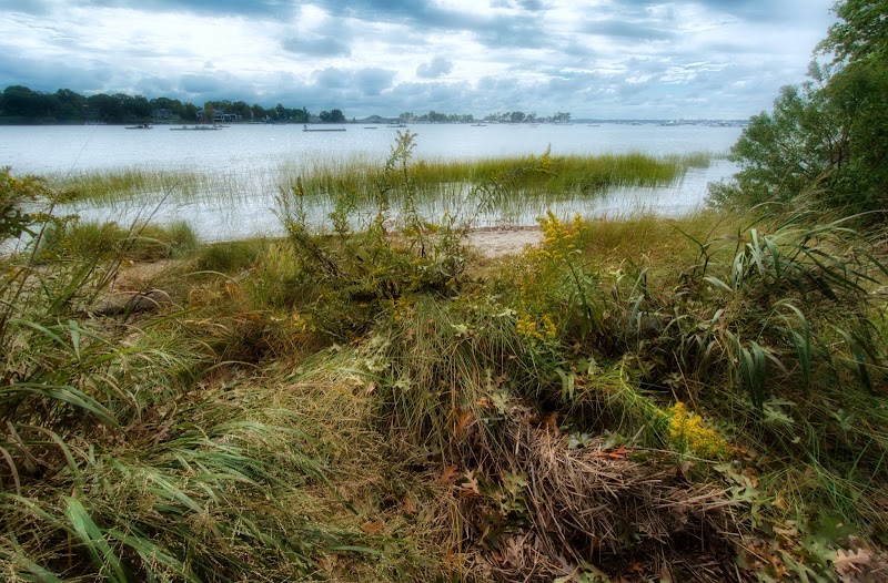 Marshlands Conservancy photo 4