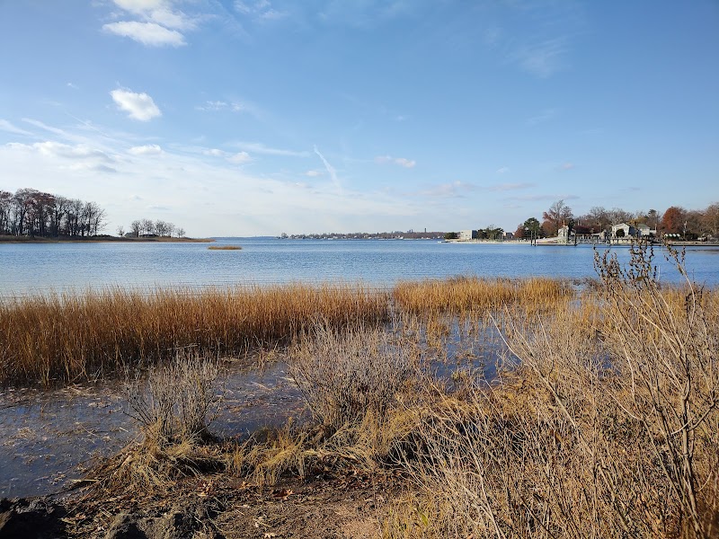 Marshlands Conservancy photo 5