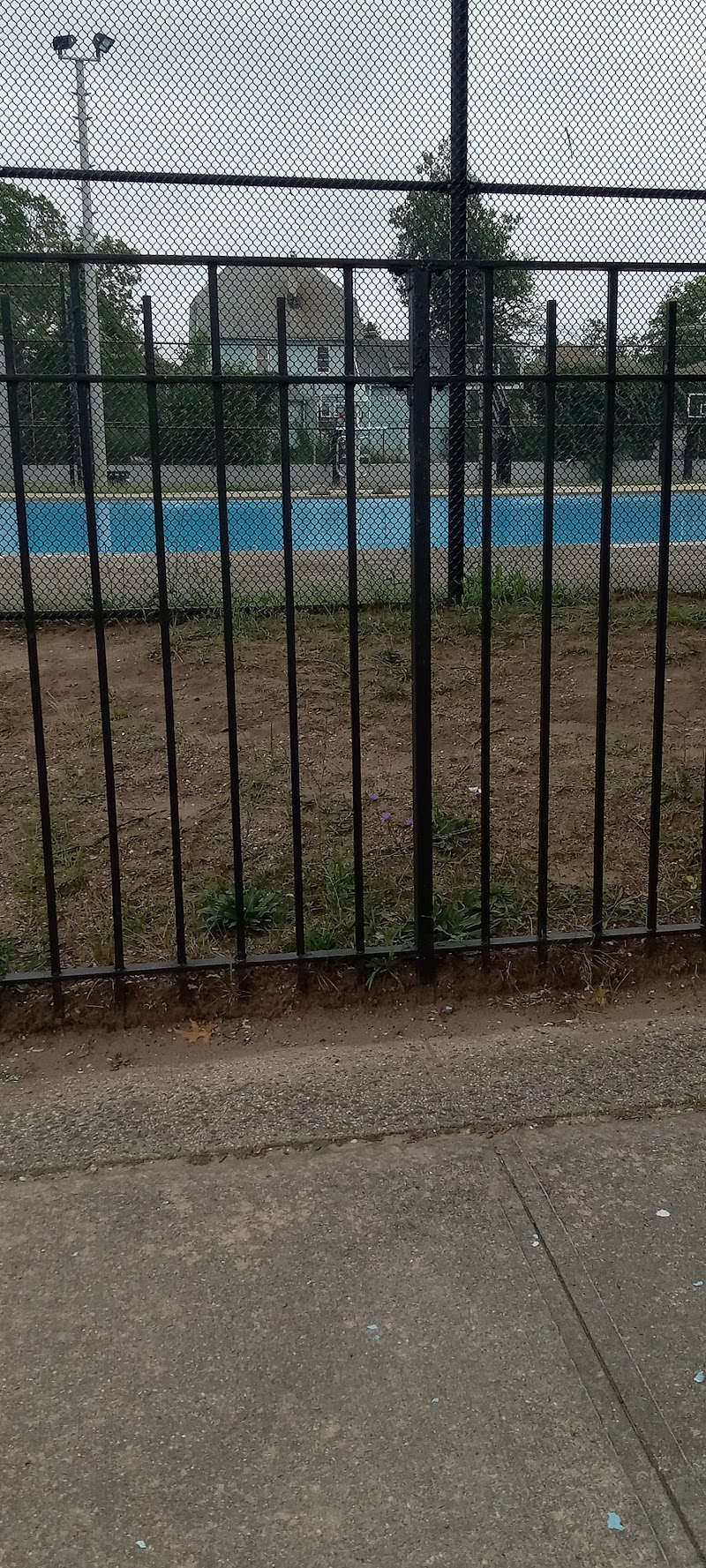 Martin Luther King, Jr. Park photo 4