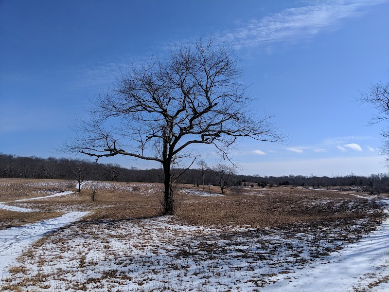 Mashomack Preserve photo 2