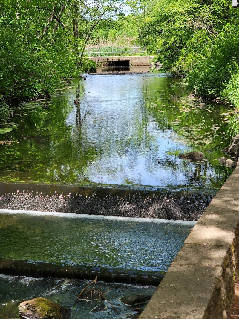 Massapequa Park photo 2