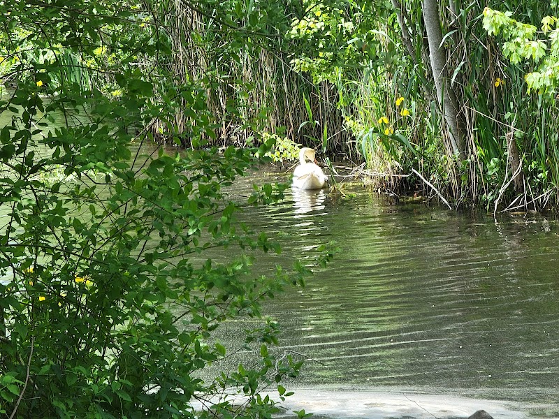 Massapequa Park photo 3