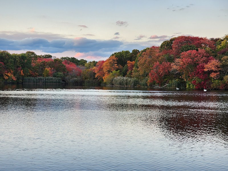 Massapequa Preserve photo 2