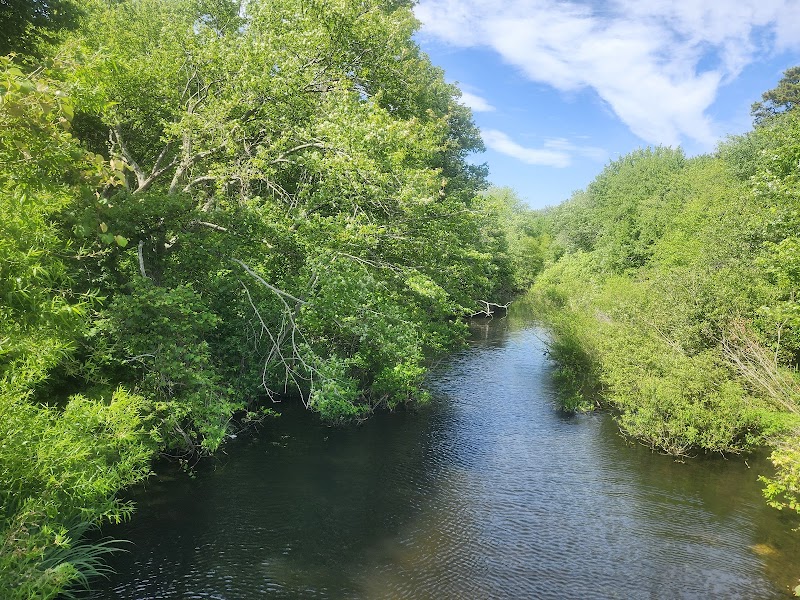 Massapequa Preserve photo 3