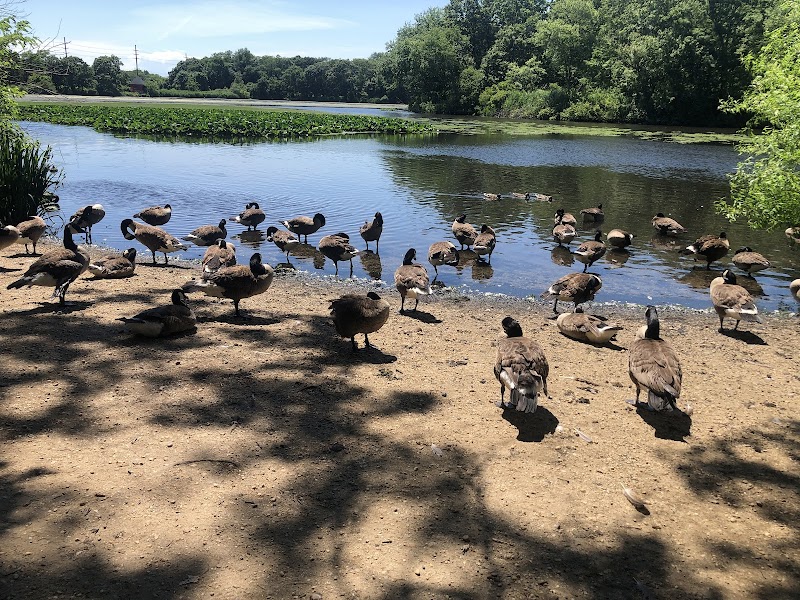 Massapequa Preserve photo 4