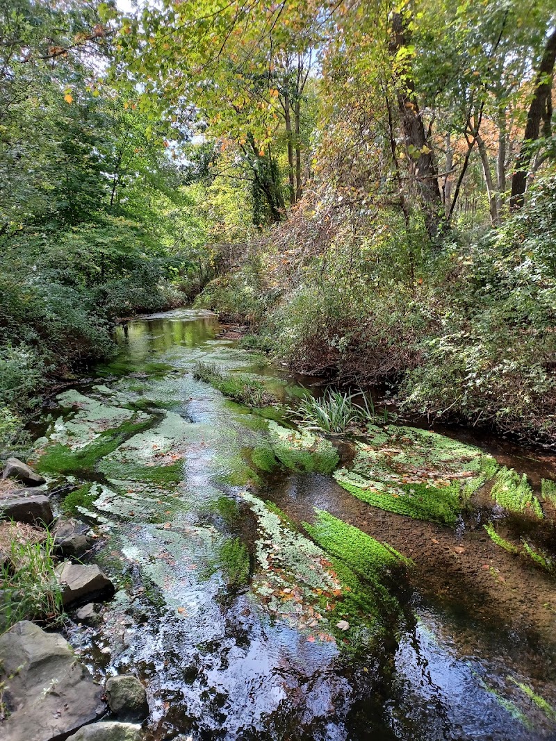 Massapequa Preserve photo 5