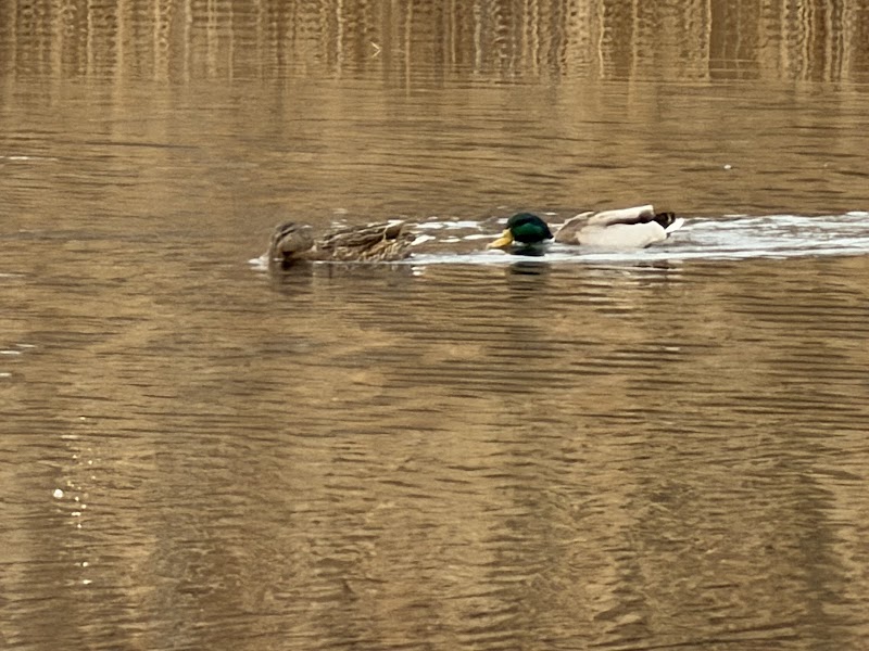 Massapequa Preserve photo 2