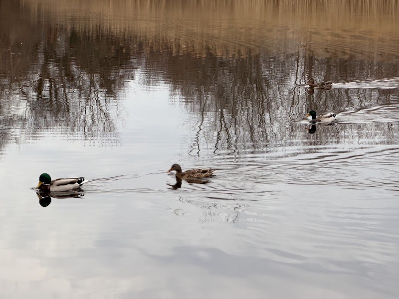 Massapequa Preserve photo 3