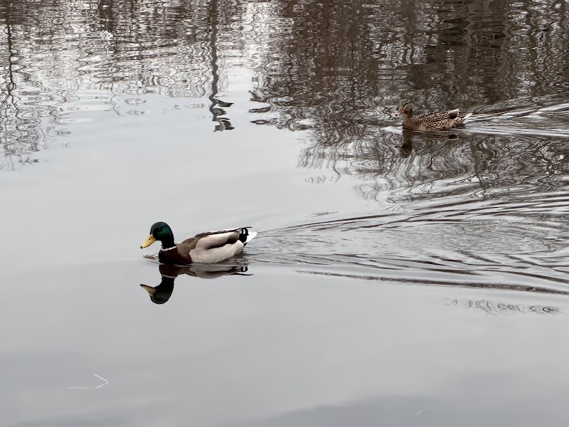 Massapequa Preserve photo 4