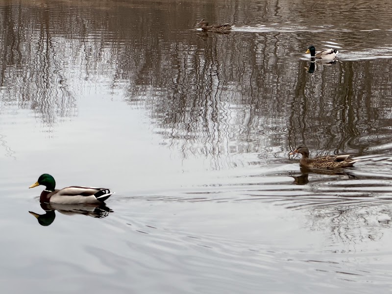 Massapequa Preserve photo 5
