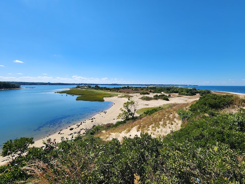 McAllister County Park - Port Jeff Harbor Beach - photo 3