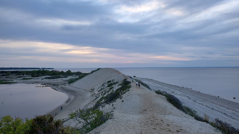 McAllister County Park - Port Jeff Harbor Beach - photo 5
