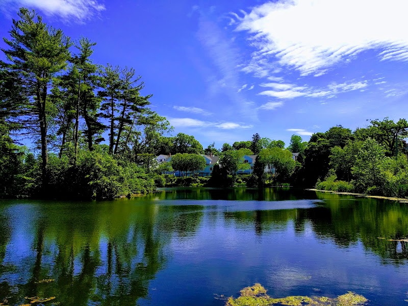 Mead Memorial Park photo 2