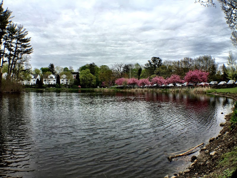 Mead Memorial Park photo 3