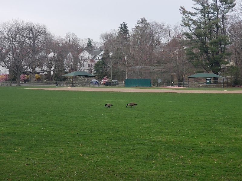 Mead Memorial Park photo 5