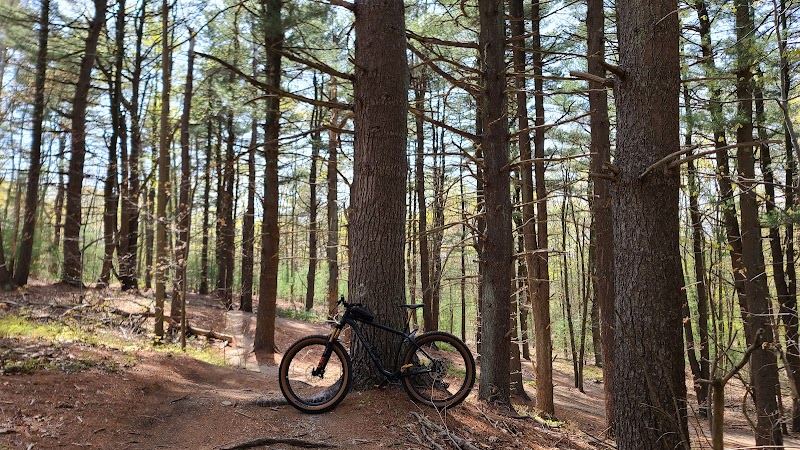 Meadowlark Park photo 2