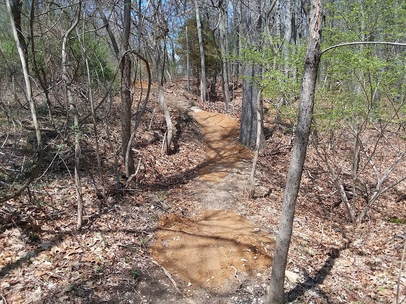 Meadowlark Park photo 4