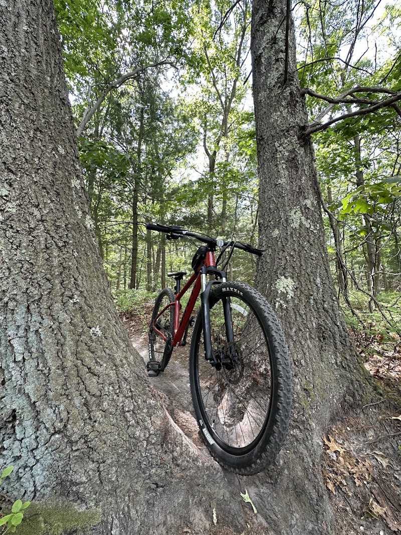 Meadowlark Park photo 5