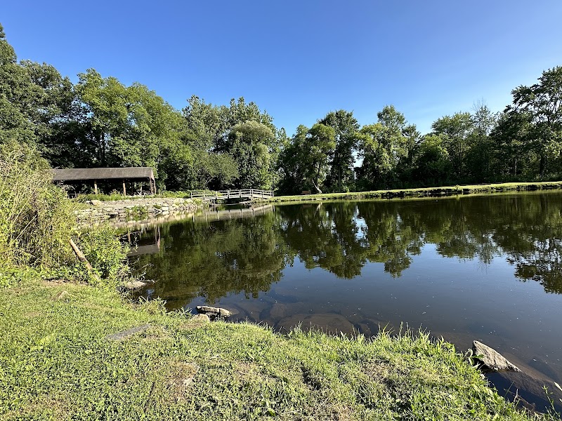 Meckauer Park photo 3