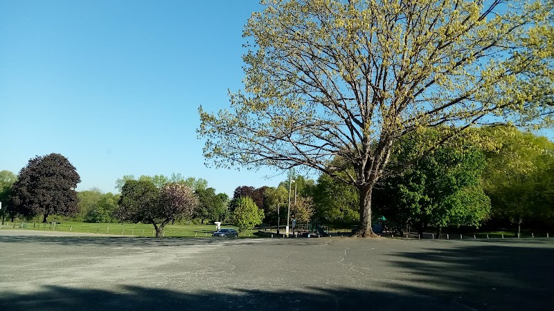 Meckauer Park photo 4