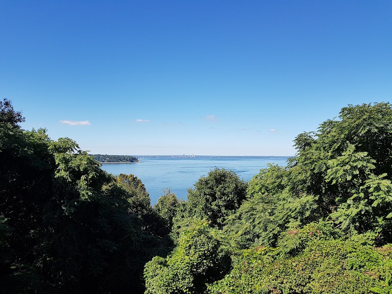 Memorial Park photo 1