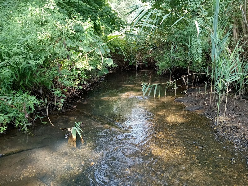 Meroke Preserve photo 4