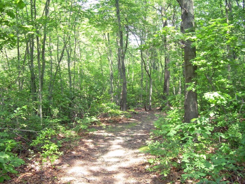 Meroke Preserve photo 5