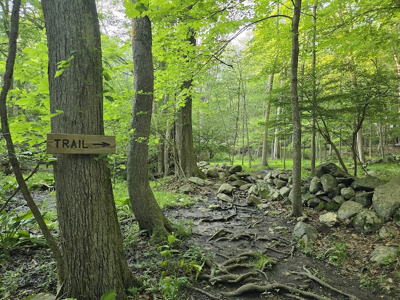 Mianus River Park photo 2