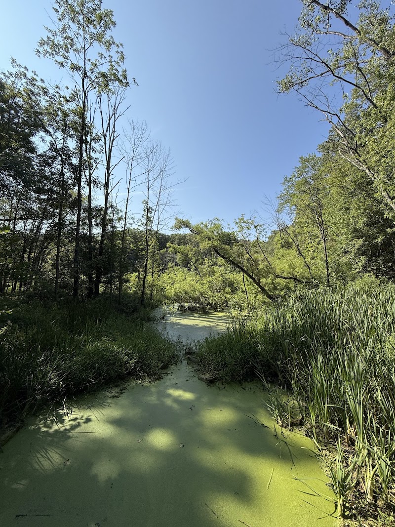Mianus River Parking photo 3