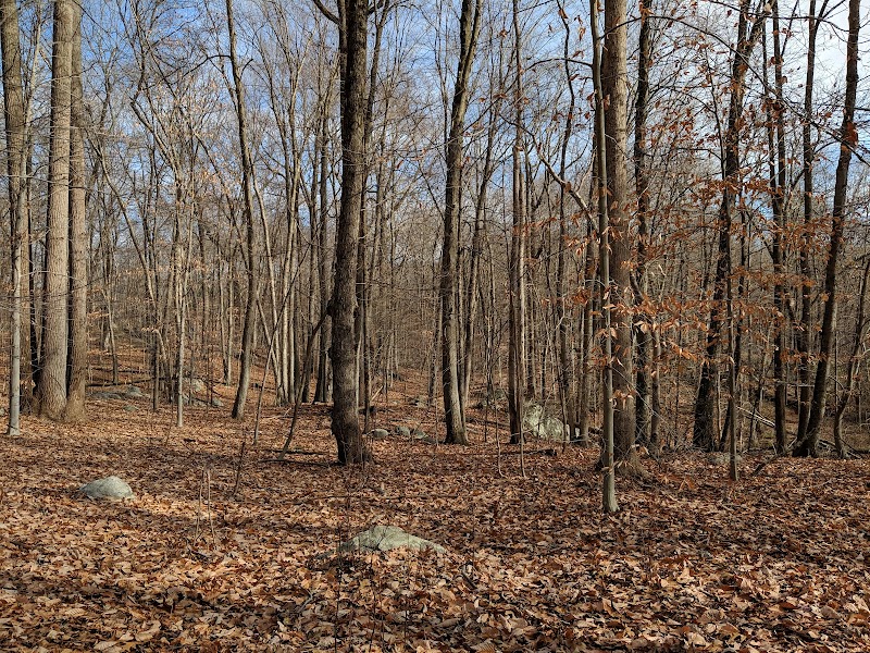 Mianus River Parking photo 4
